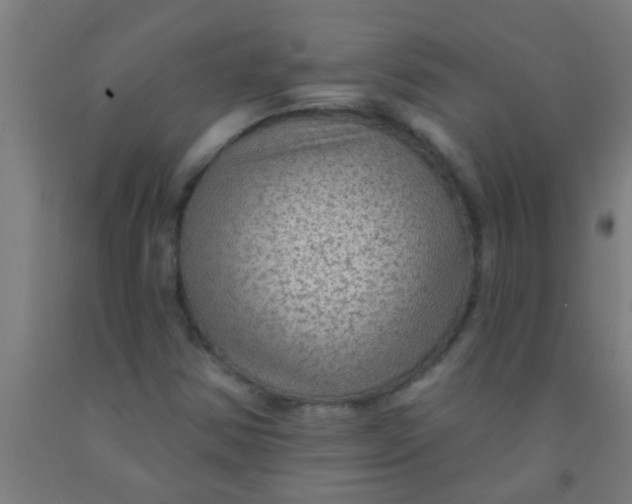 X0000092031354200709271601