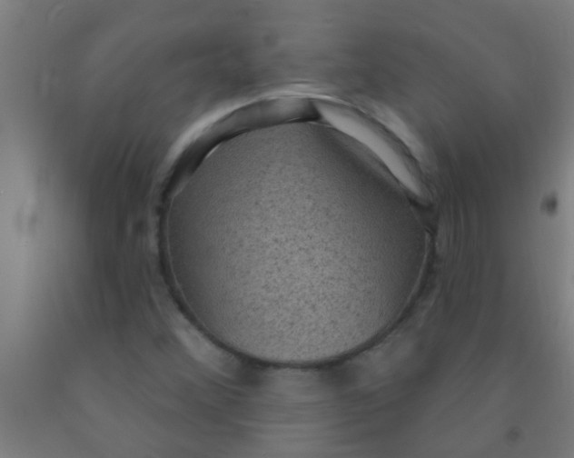 X0000092031356200709271601