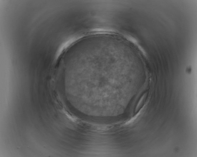 X0000092031357200709271601