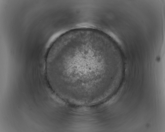 X0000092031358200709271601