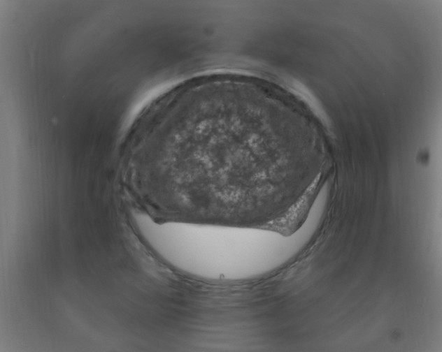 X0000092031360200709271601