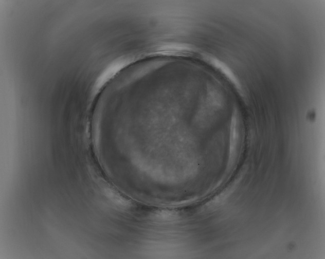 X0000092031362200709271601