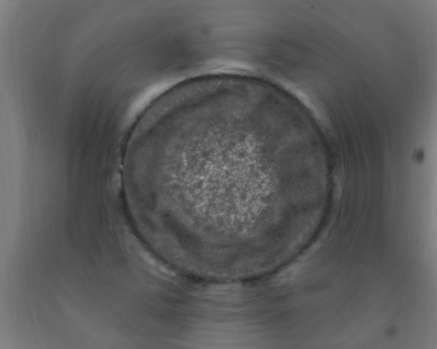 X0000092031363200709271601