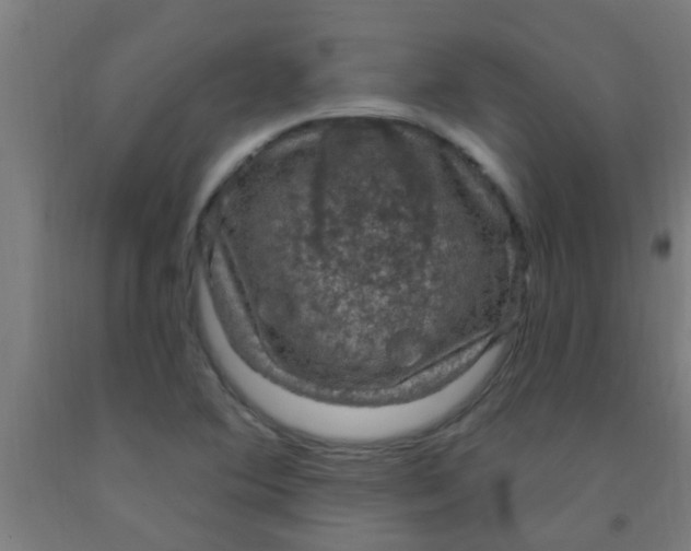 X0000092031364200709271601