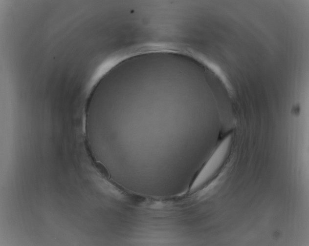 X0000092031365200709271601