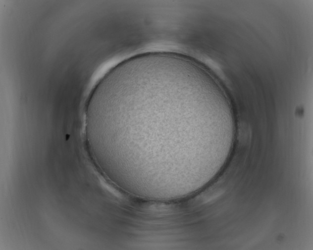 X0000092031366200709271601