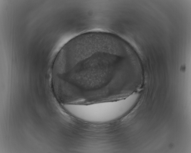 X0000092031367200709271601