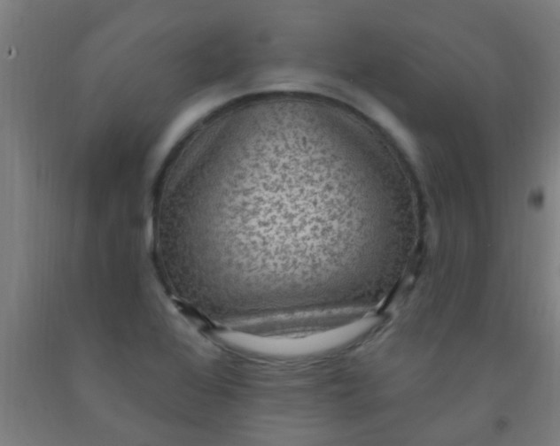 X0000092031368200709271601