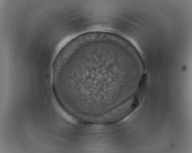 X0000092031371200709271601