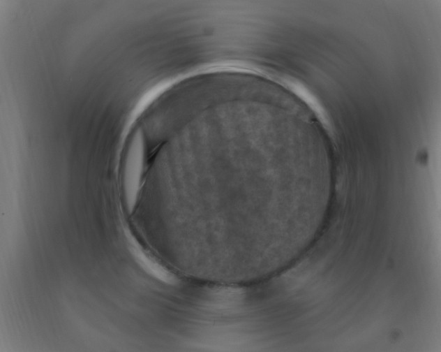 X0000092031372200709271601