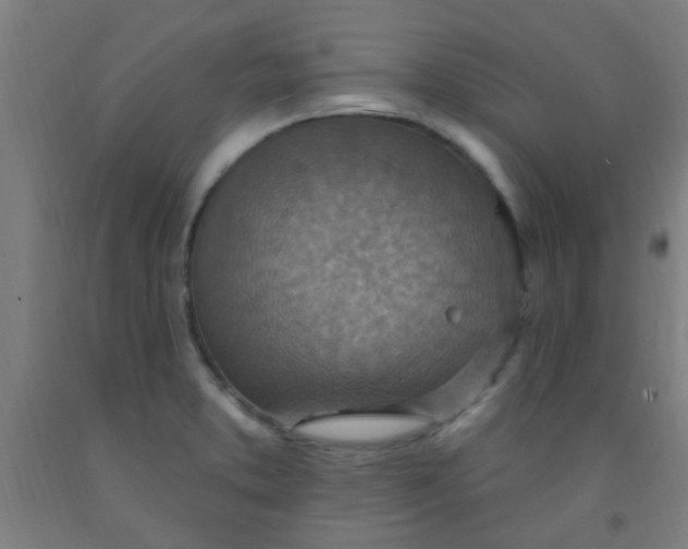 X0000092031373200709271601