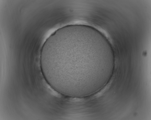 X0000092031374200709271600