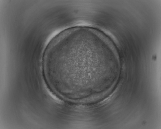 X0000092031375200709271600