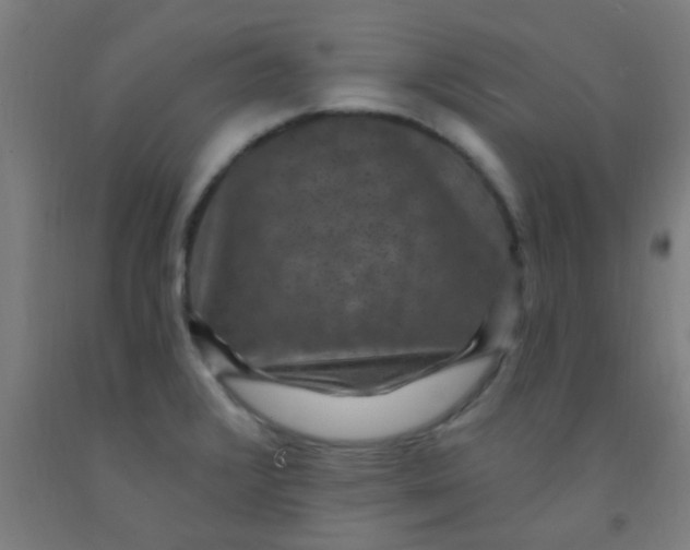 X0000092031376200709271600