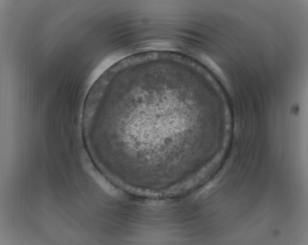 X0000092031378200709271600