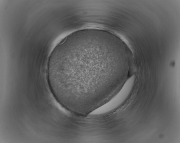 X0000092031379200709271600