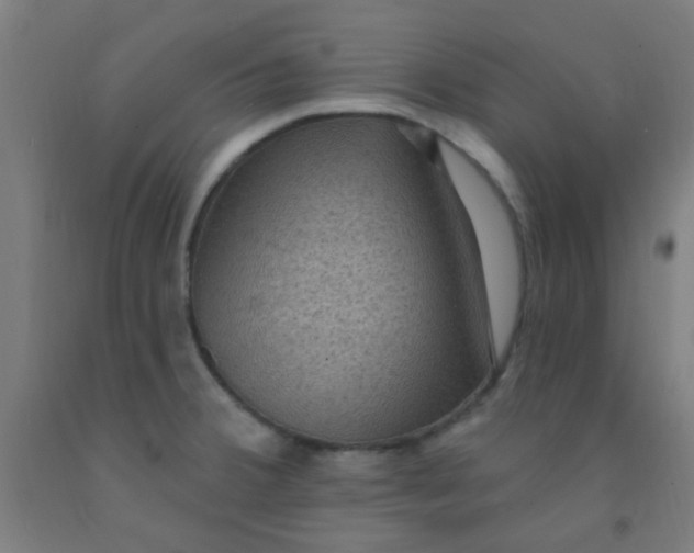 X0000092031380200709271600