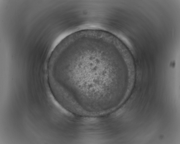 X0000092031382200709271600