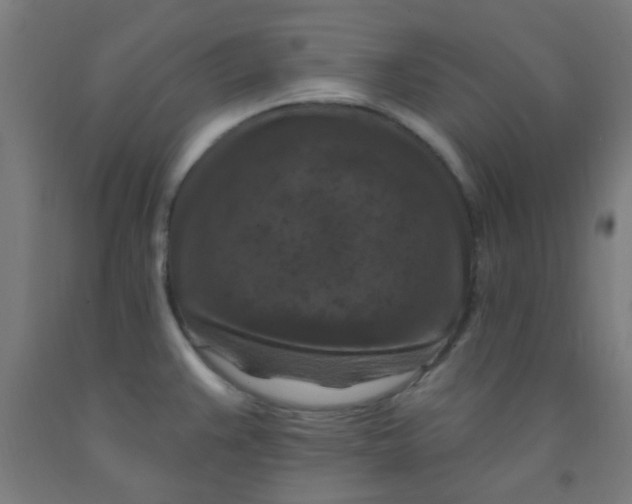 X0000092031383200709271600