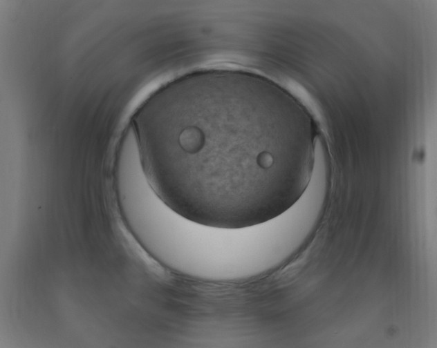 X0000092031384200709271600