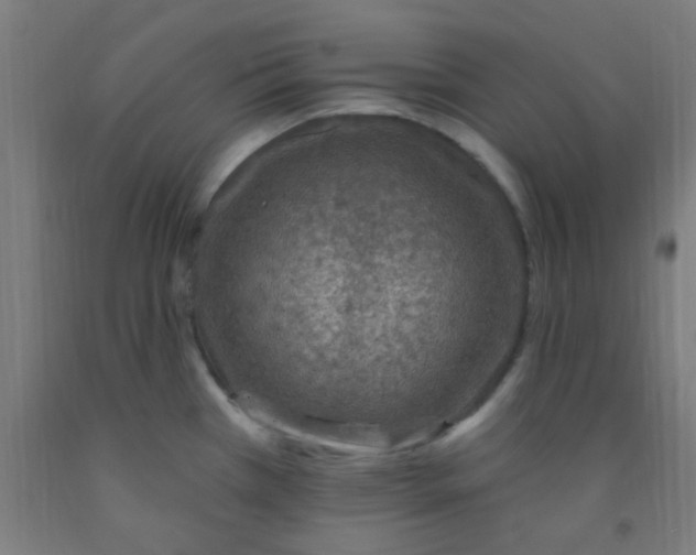 X0000092031385200709271600