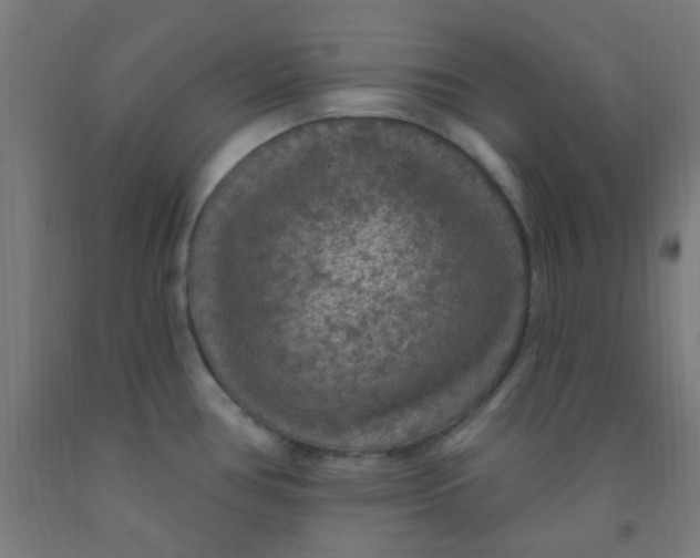 X0000092031386200709271600