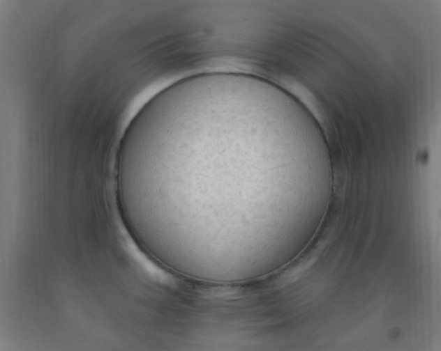 X0000092031387200709271600