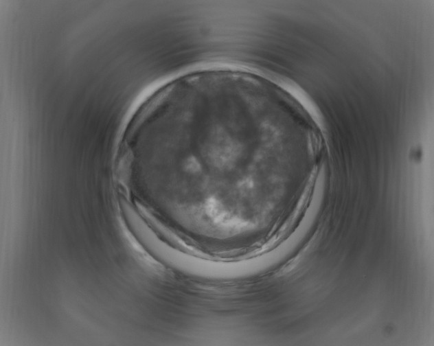 X0000092031388200709271600