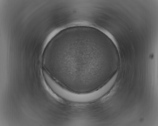 X0000092031389200709271600