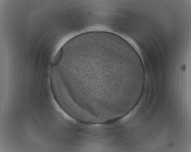 X0000092031390200709271600