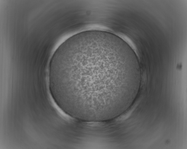 X0000092031391200709271600