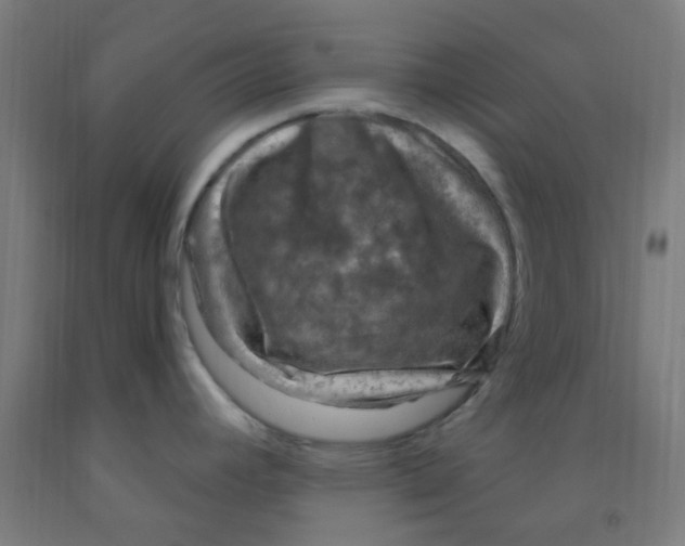 X0000092031392200709271600