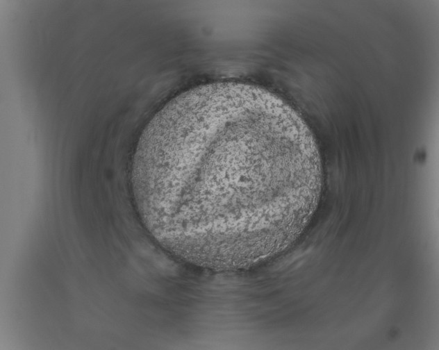 X0000092031393200709271600