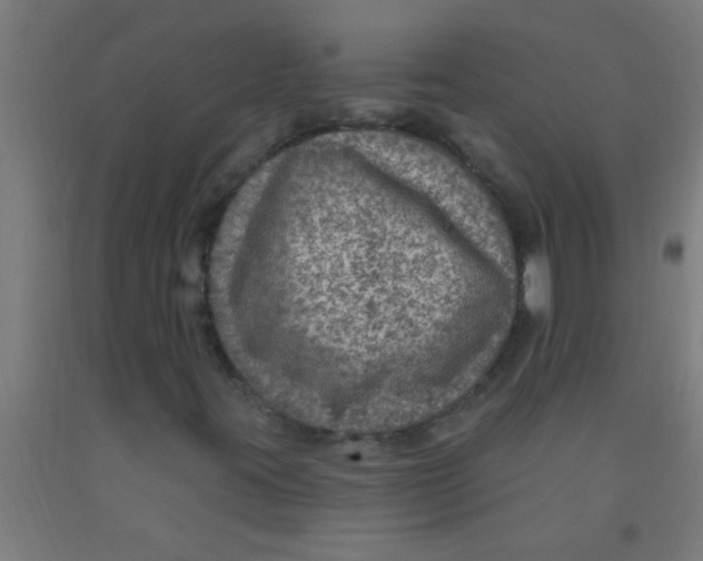 X0000092031395200709271600