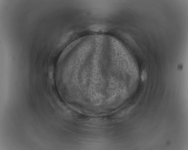 X0000092031396200709271600