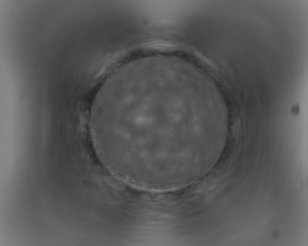 X0000092031397200709271600