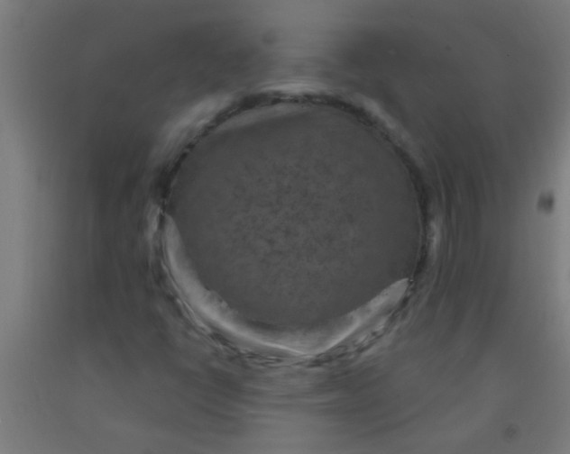 X0000092031398200709271600