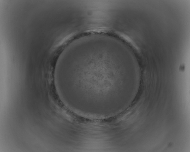 X0000092031399200709271600