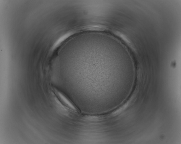 X0000092031402200709271600