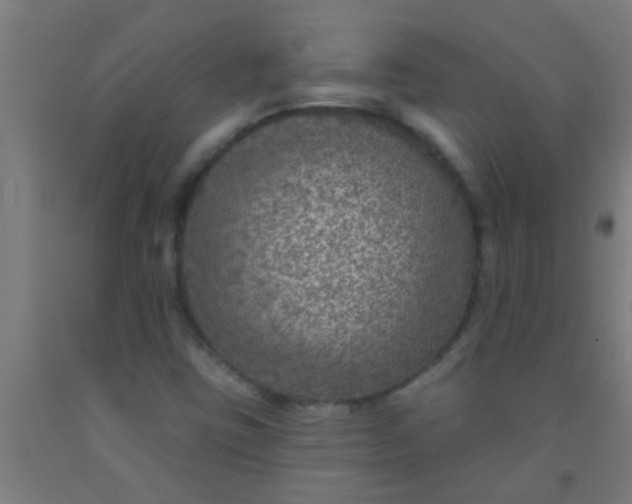 X0000092031403200709271600