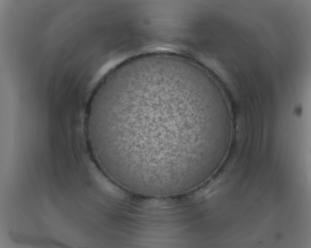 X0000092031404200709271600