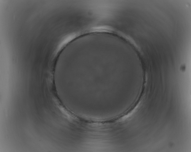 X0000092031405200709271600