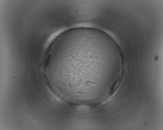 X0000092031406200709271600