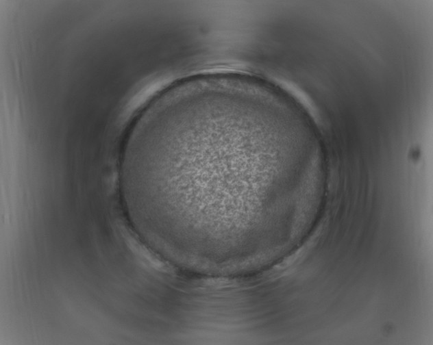 X0000092031407200709271600