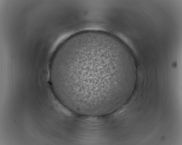 X0000092031408200709271600