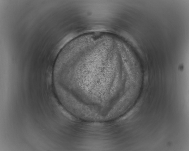 X0000092031409200709271600