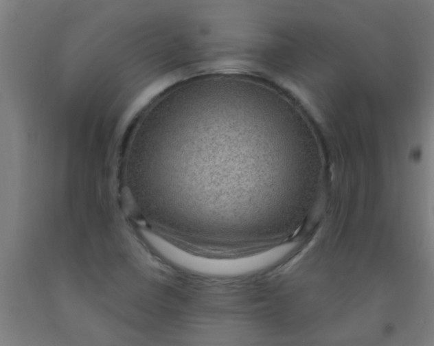 X0000092031410200709271600