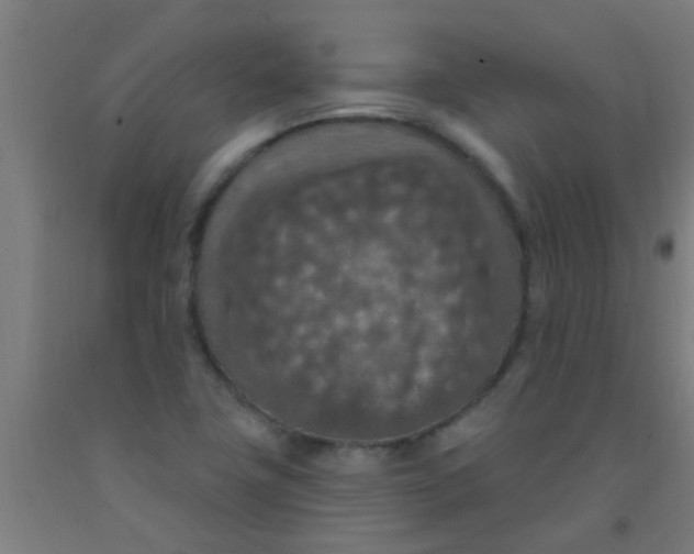 X0000092031411200709271600