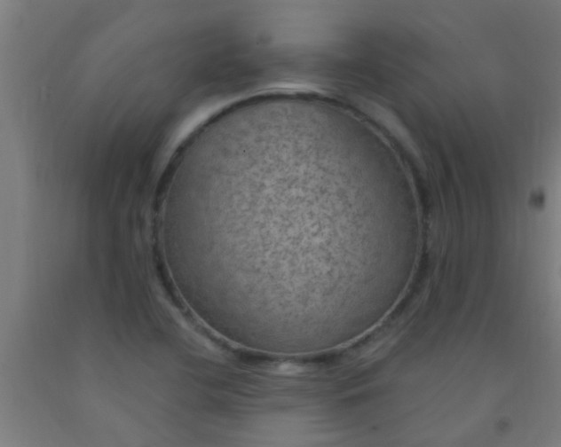 X0000092031412200709271600