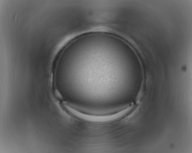 X0000092031414200709271600